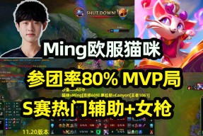 Ming赛事官方发布战术调整新规，RNG争议不断！的简单介绍