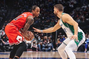 关于Rookie关键节点精彩发挥，公牛带队取胜！的信息